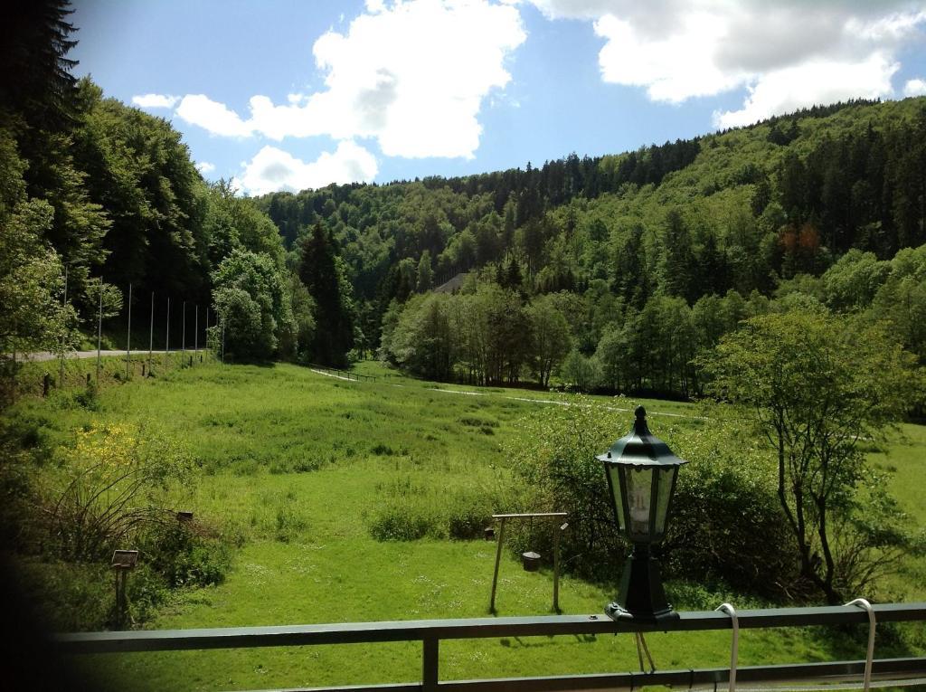 Hotel-Pension Zum Paradies Willingen  Exterior photo